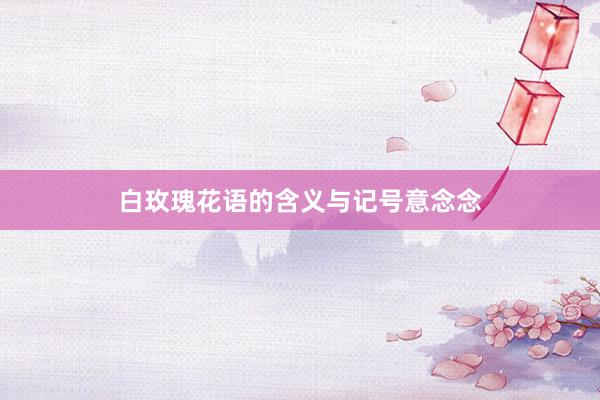白玫瑰花语的含义与记号意念念