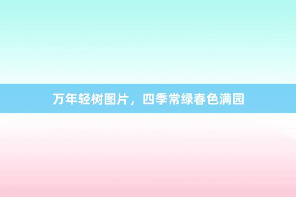 万年轻树图片，四季常绿春色满园