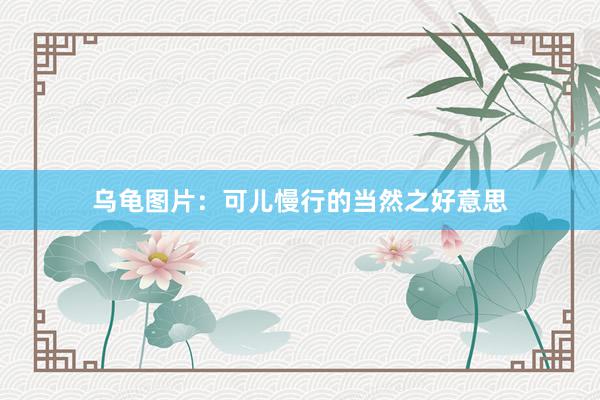 乌龟图片：可儿慢行的当然之好意思
