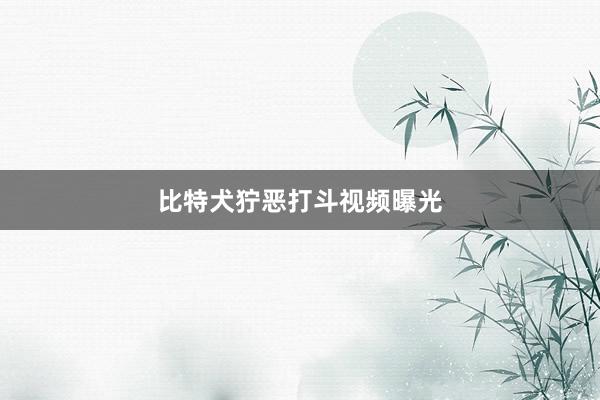 比特犬狞恶打斗视频曝光