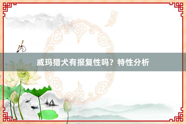 威玛猎犬有报复性吗？特性分析